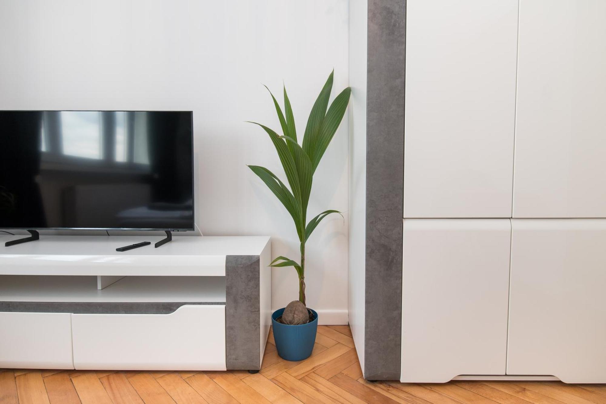 Apartament Dworcowa 24 Gliwice Exteriör bild